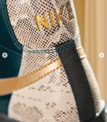 Tenis NIke lucha libre