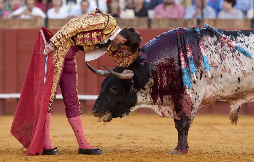 Toros