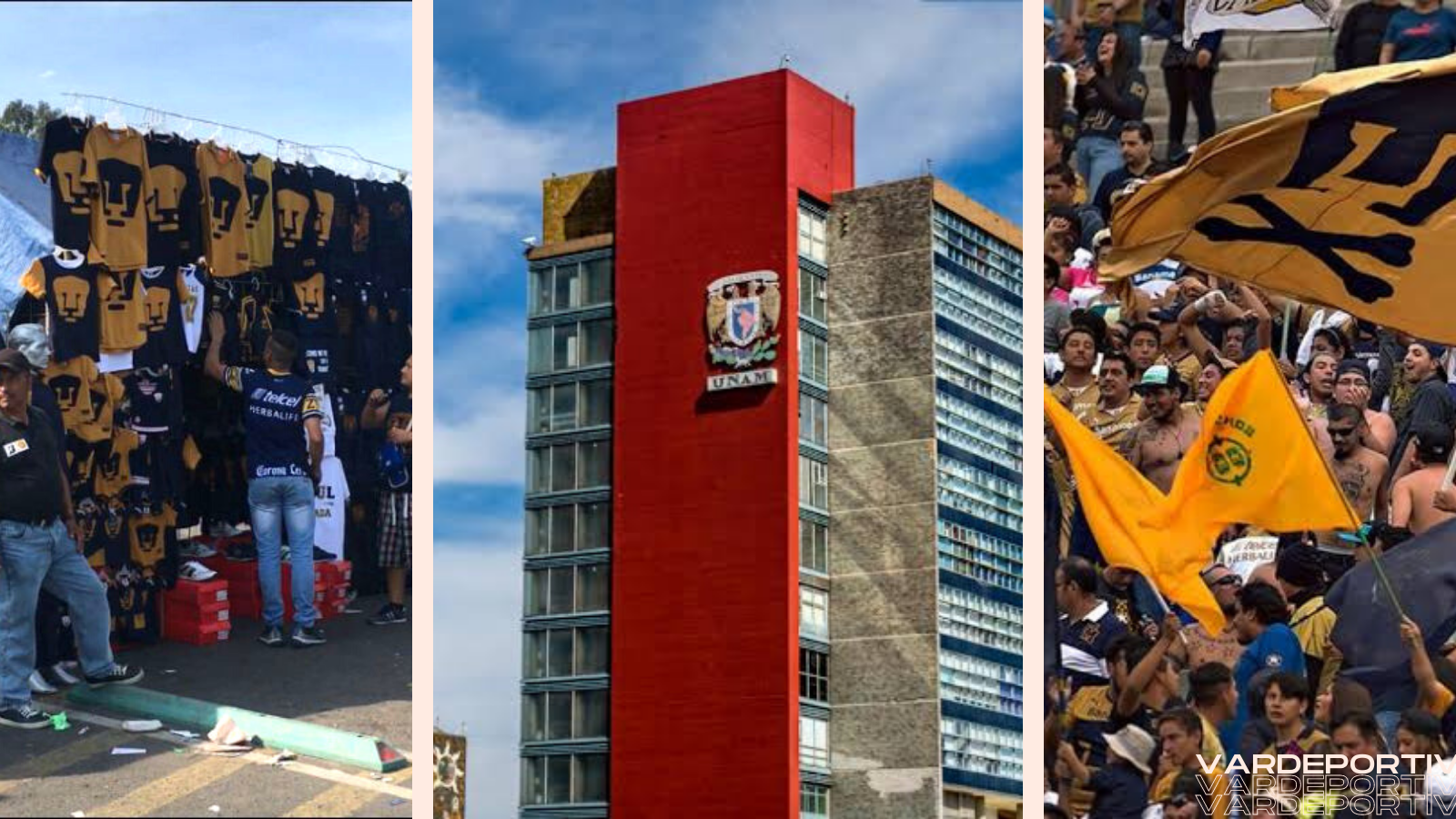 Pumas Venta de Camisetas UNAM Ingresos