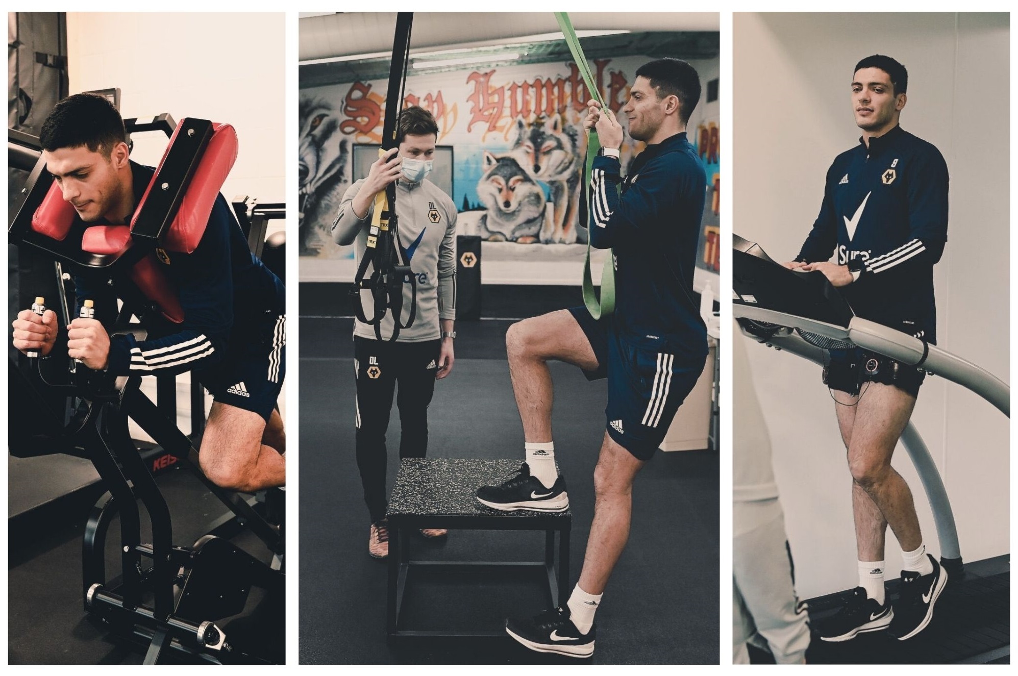 Flores y plantas Raúl Jiménez, Wolverhampton, rehabilitación