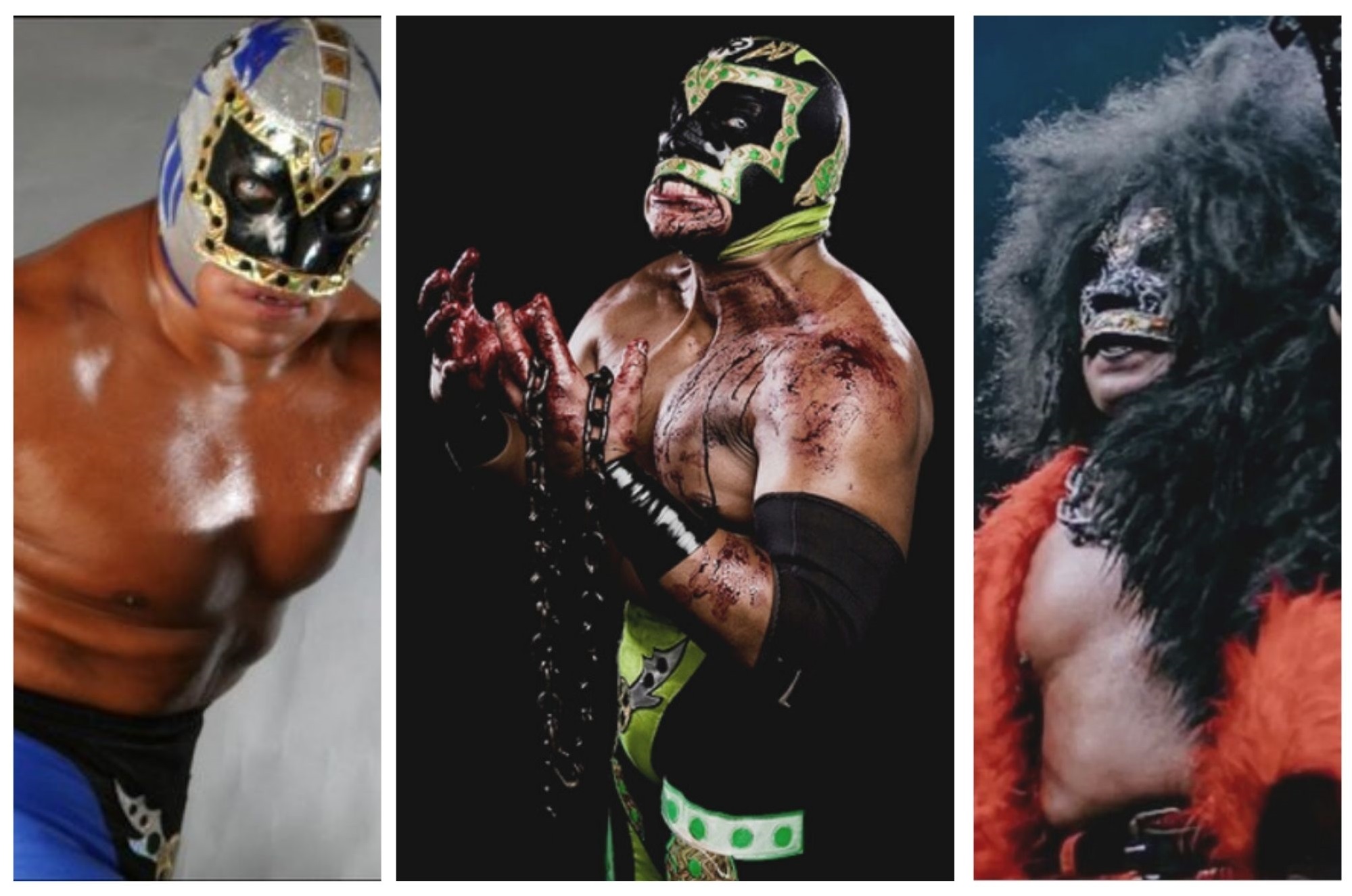 Mr. Miebla Mr. Miebla