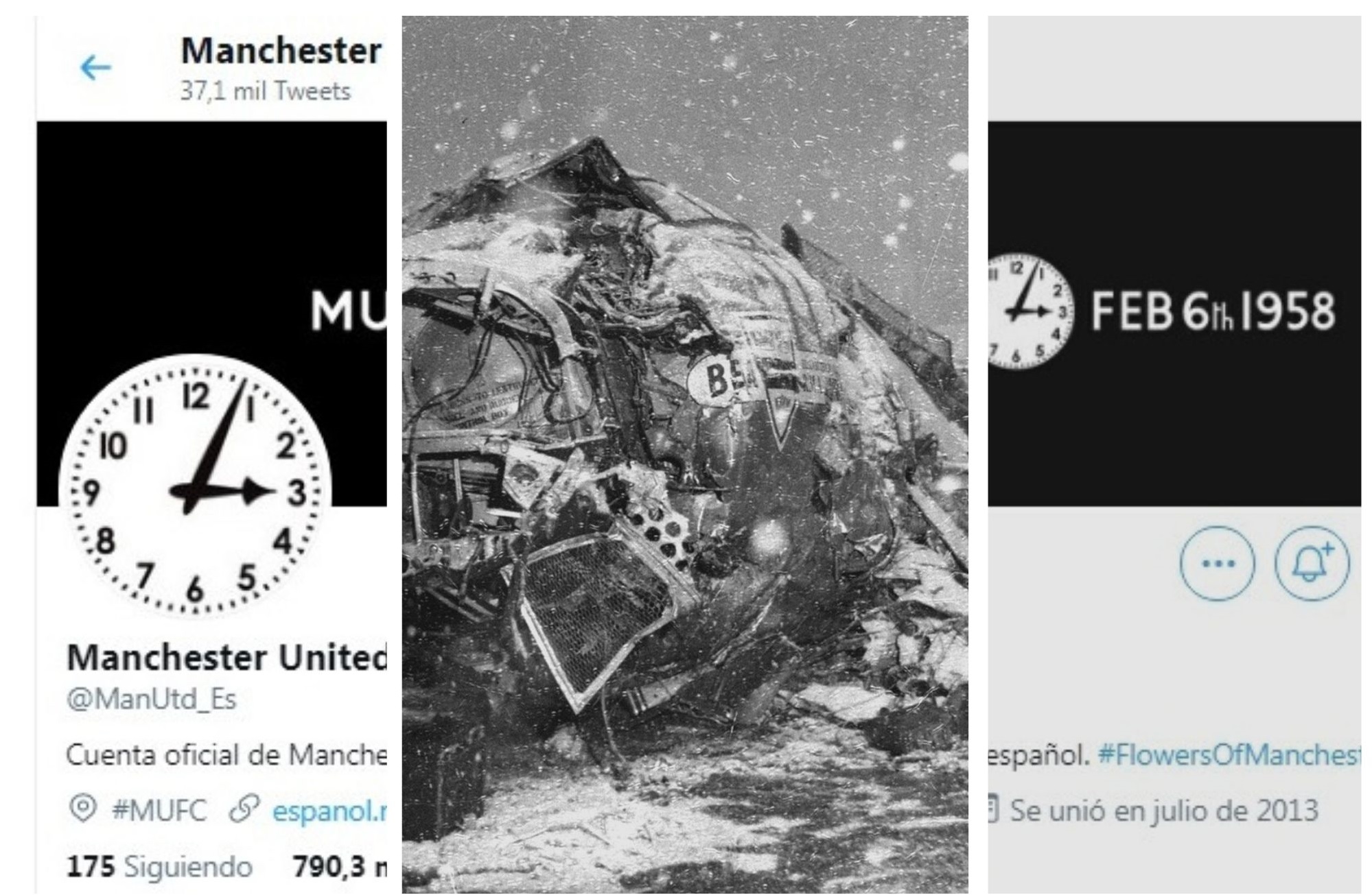 Flores y plantas (1) Tragedia aérea de Munich, Manchester United