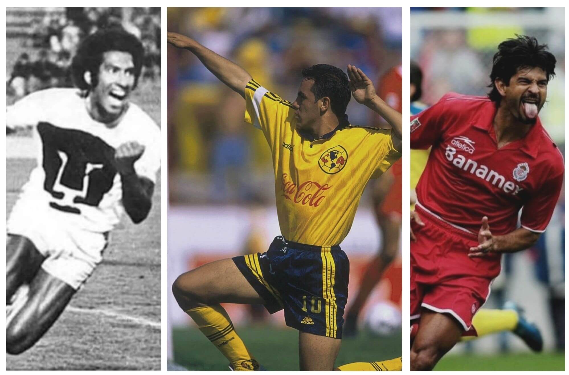 Flores y plantas (1) Ídolos Liga MX