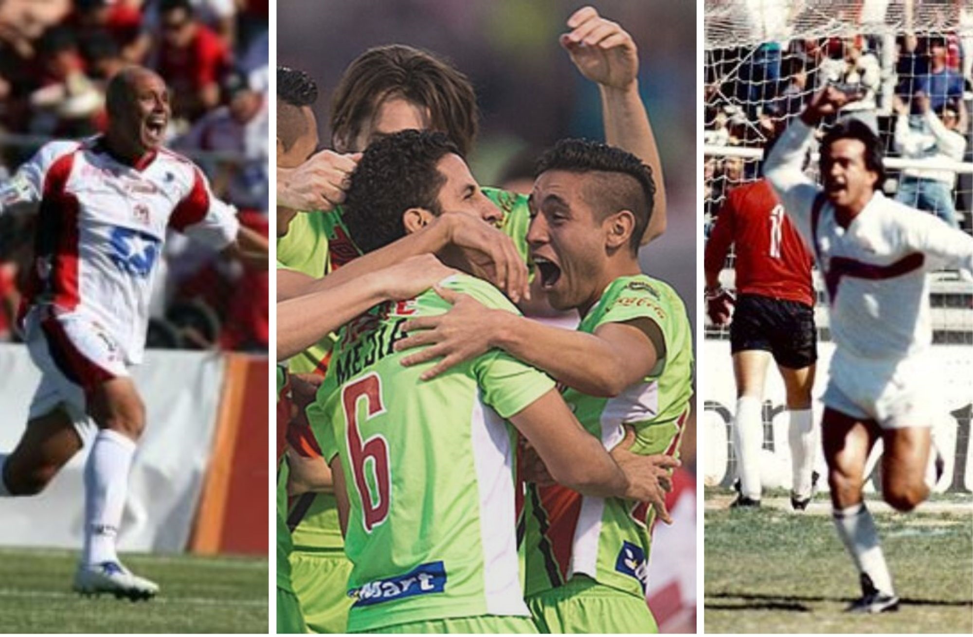 Copia de Flores y plantas Equipos Ciudad Juárez, Indios, Cobras, Bravos