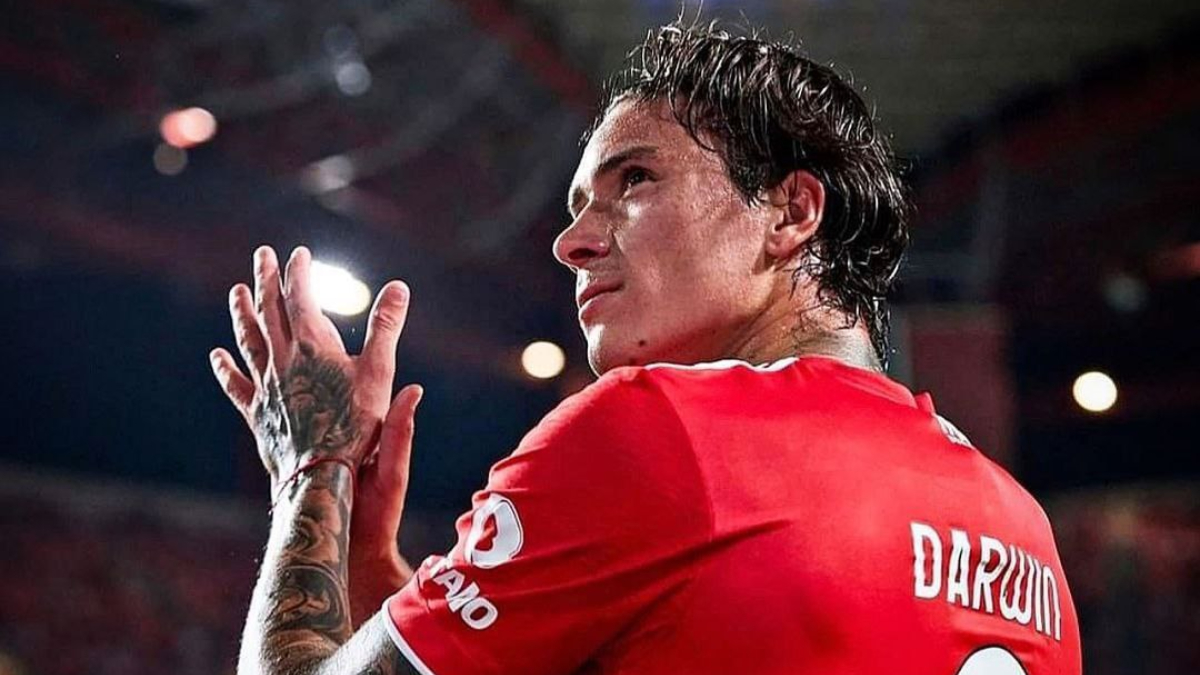 Darwin Núñez Benfica Números Temporada 2021-2022 Darwin Núñez Benfica