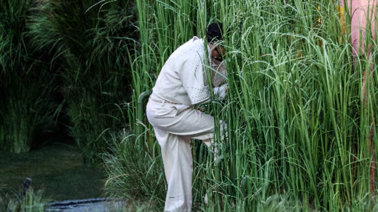 Bad Bunny eligió dar al mundo una muestra de la cultura latina que hay en EE.UU. para su show en el Super Bowl