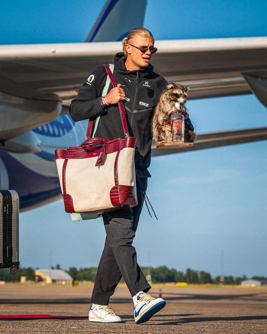 Erling Haaland regreso a Noruega con un mapache como mascota, tras la eliminación de Noruega del Mundial